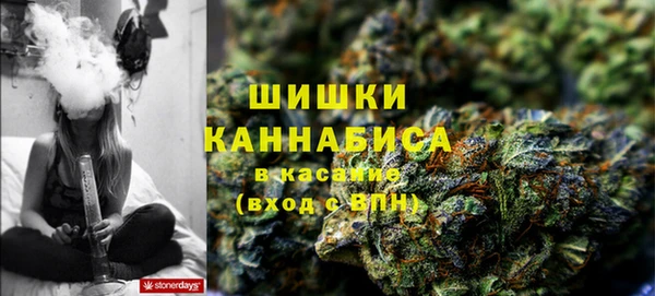 ГАЛЛЮЦИНОГЕННЫЕ ГРИБЫ Осинники