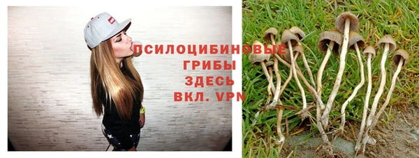 кокс Абдулино