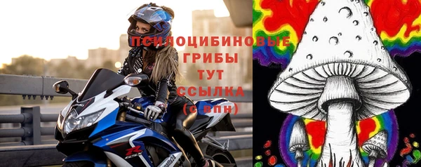 2c-b Абаза