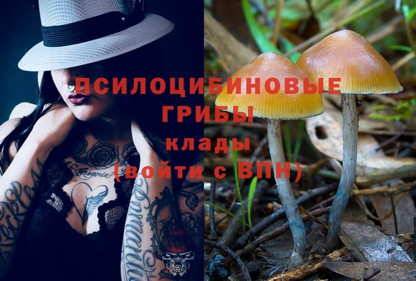 2c-b Абаза