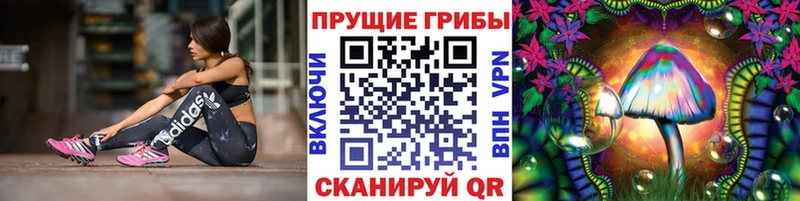 что такое наркотик  Нерчинск  Галлюциногенные грибы GOLDEN TEACHER 